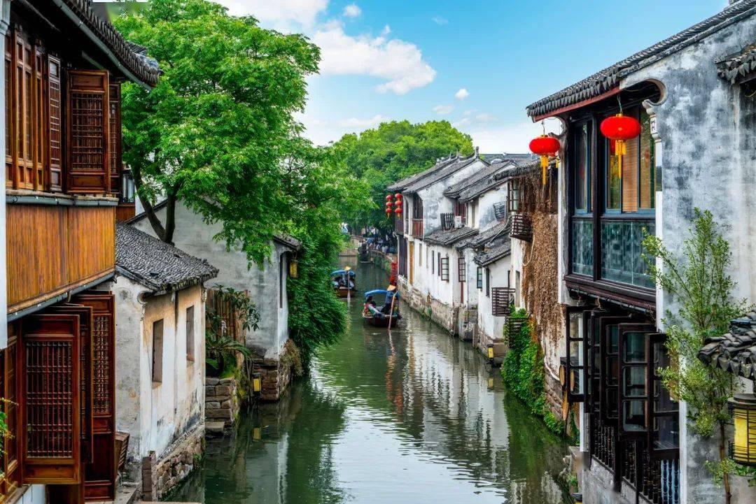 可爱猪救援2